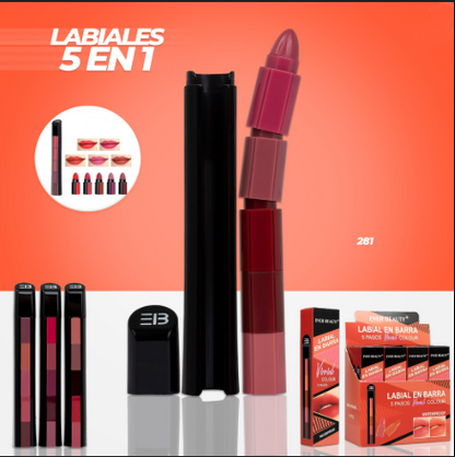 LABIAL EN BARRA 5 EN 1 EVER BEAUTY