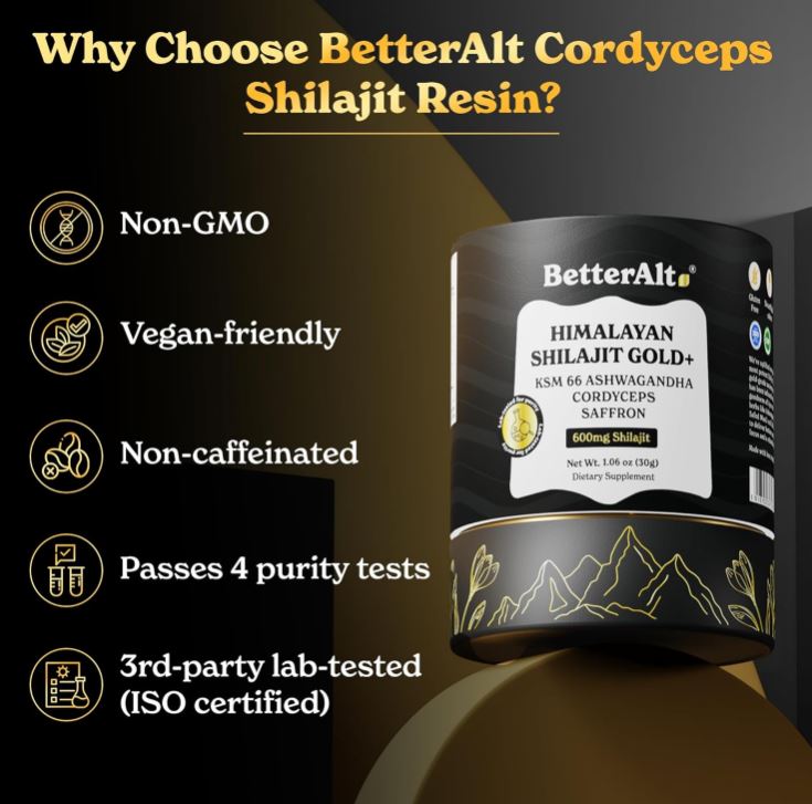 Shilajit: El Oro Negro del Himalaya Que Impulsa Tu Energía… y Tu Virilidad ⚡🍆