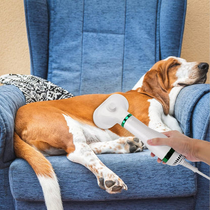 Menos Pelo en Casa, Más Amor sin Desorden: Tu Aliado 2 en 1 para Mascotas Limpias