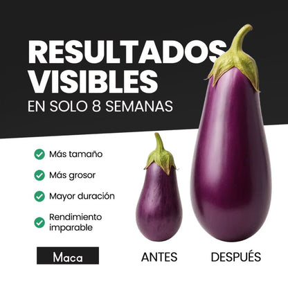 Maca Plus+ 60 cápsulas | Recupera tu potencia y energía en la cama, en 2 semanas. Contiene: MACA + ASHWAGANDHA + SHILAJIT + L-ARGININA + SEAMOSS + ZINC.