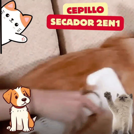 Menos Pelo en Casa, Más Amor sin Desorden: Tu Aliado 2 en 1 para Mascotas Limpias