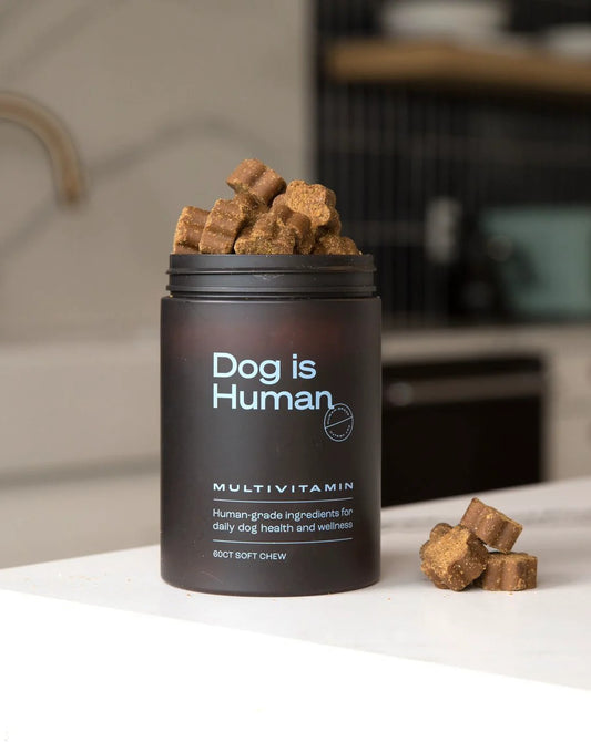 Dog Is Human: suplementos para perros