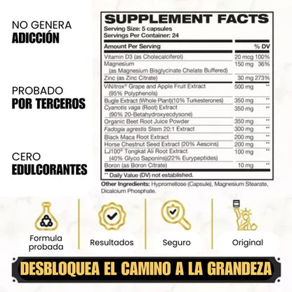 King Maker - Suplemento con Tongkat Ali, Turkesterona, Ecdisterona, Fadogia Agrestis, betarraga roja, maca negra y zinc (13 en 1)